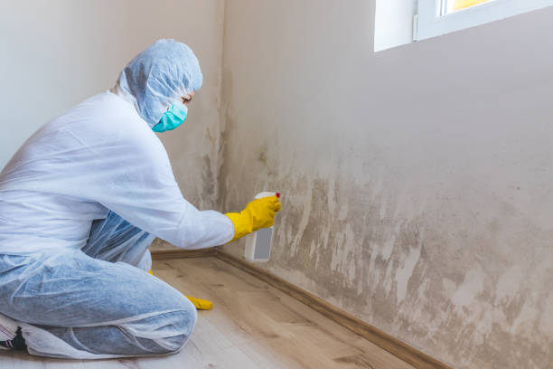 Licensed Mold Remediation service in Pennington, NJ - Mold Remediation HQ