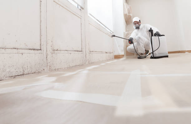 24/7 Emergency Mold Remediation experts in Pennington, NJ