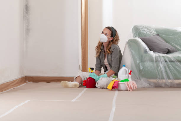 Reliable Mold Remediation contractor in Pennington, NJ by Mold Remediation HQ