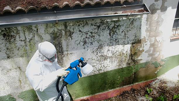Top rated local Mold Remediation specialists in Pennington, NJ